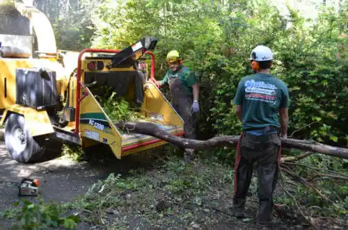 tree services Tuscumbia